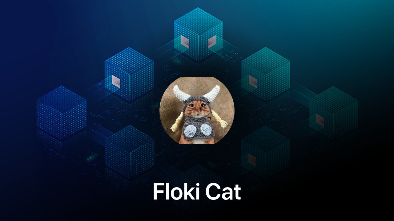 Where to buy Floki Cat coin