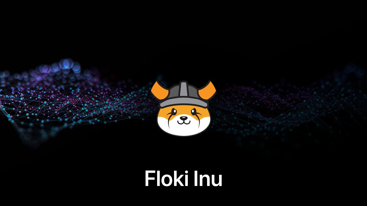 Where to buy Floki Inu coin