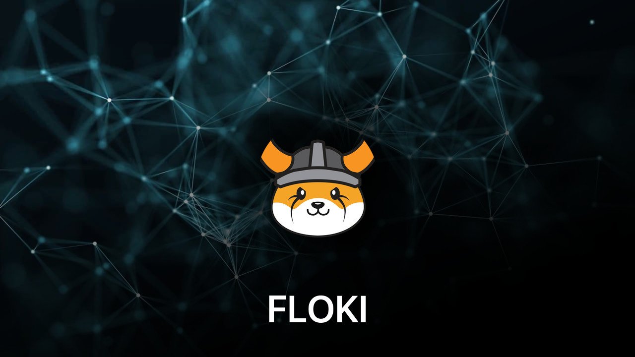 Where to buy FLOKI coin