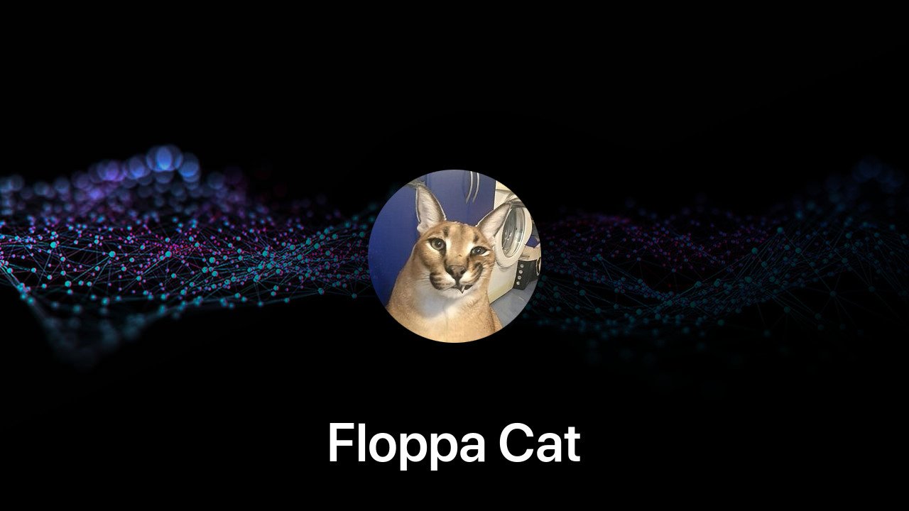 Where to buy Floppa Cat coin