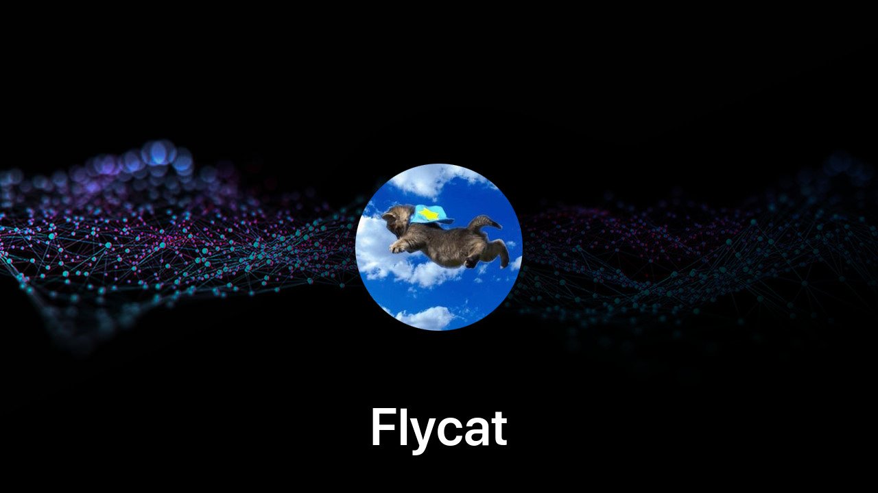 Where to buy Flycat coin