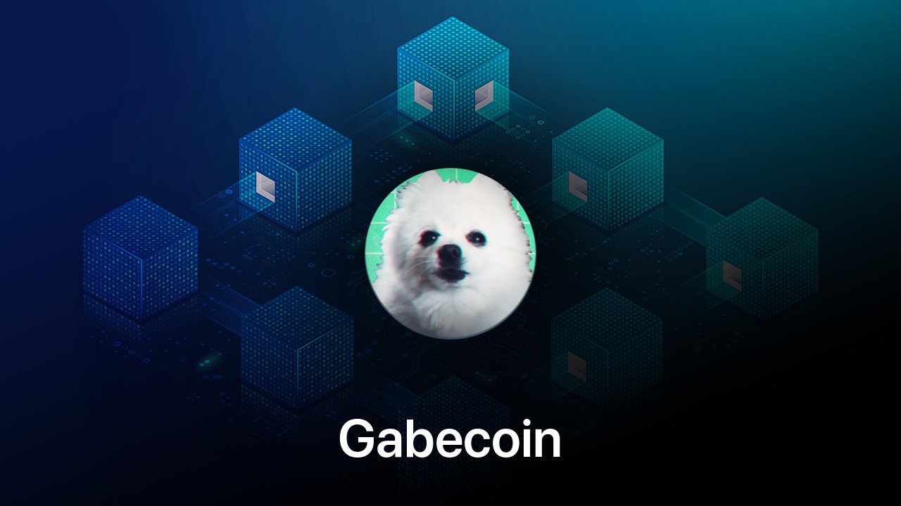 Where to buy Gabecoin coin