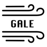 Where Buy Gale Network