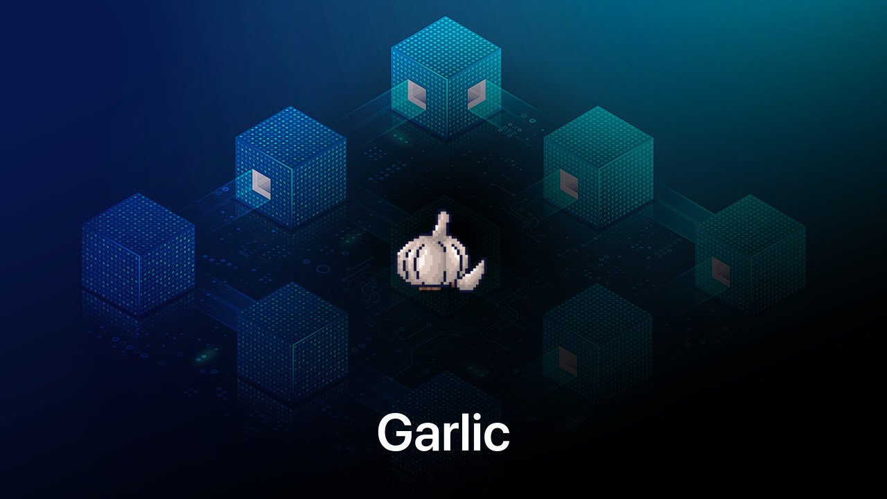 Where to buy Garlic coin