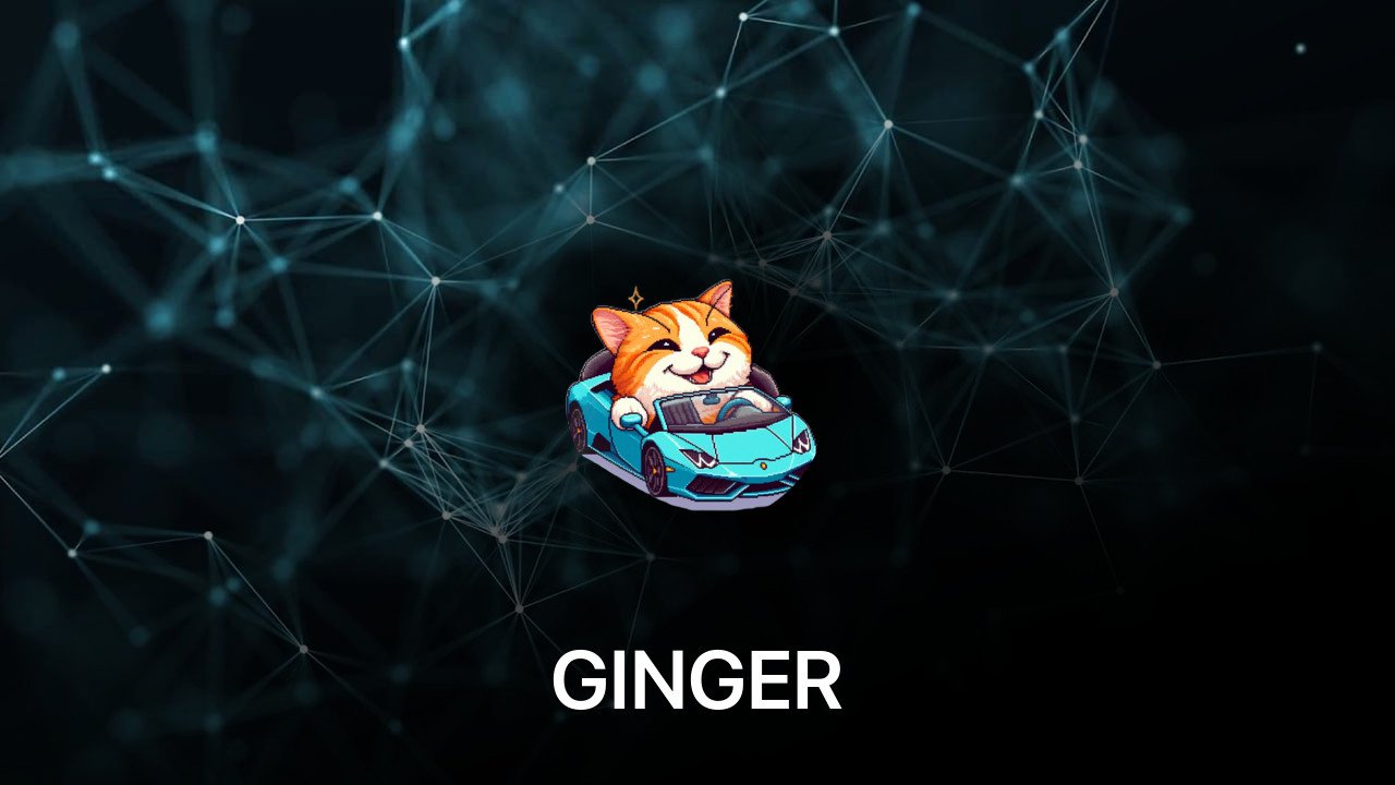 Where to buy GINGER coin