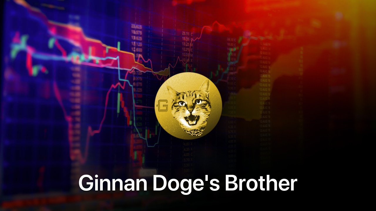 Where to buy Ginnan Doge's Brother coin