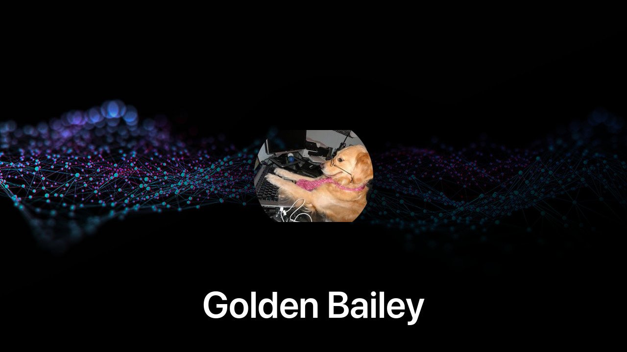 Where to buy Golden Bailey coin