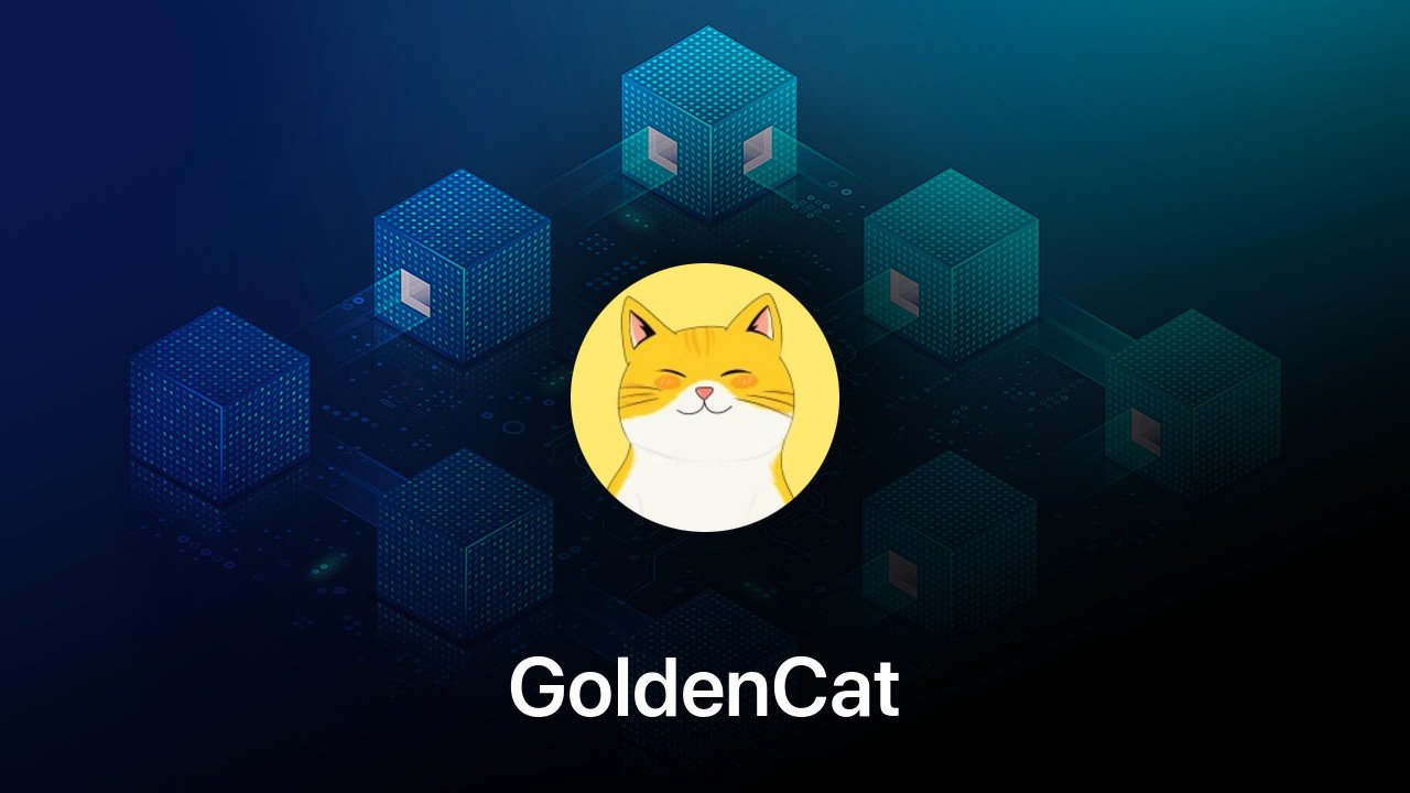 Where to buy GoldenCat coin