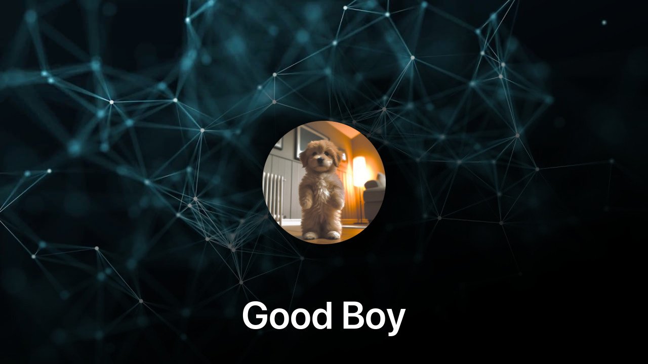 Where to buy Good Boy coin