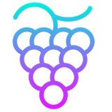 Where Buy Grape Protocol