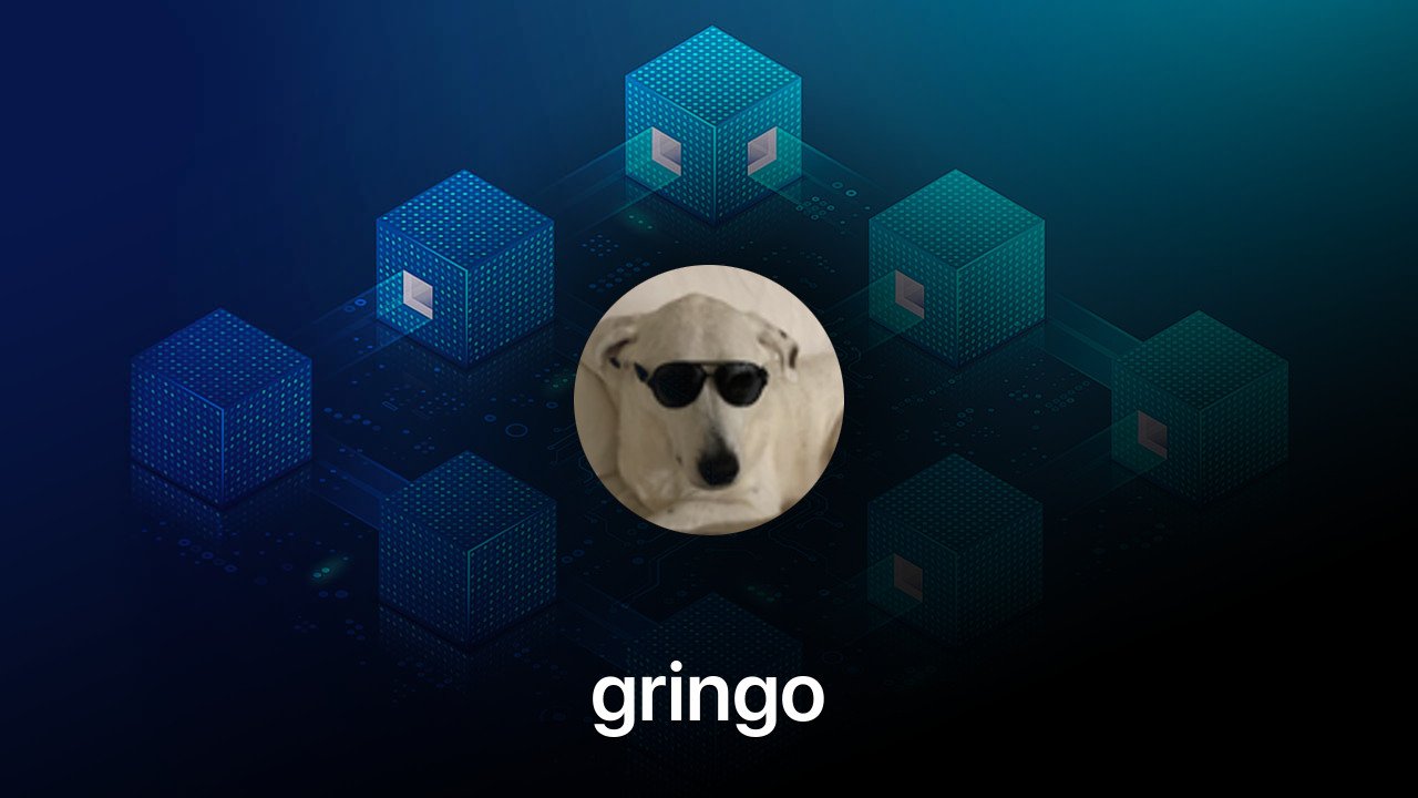 Where to buy gringo coin