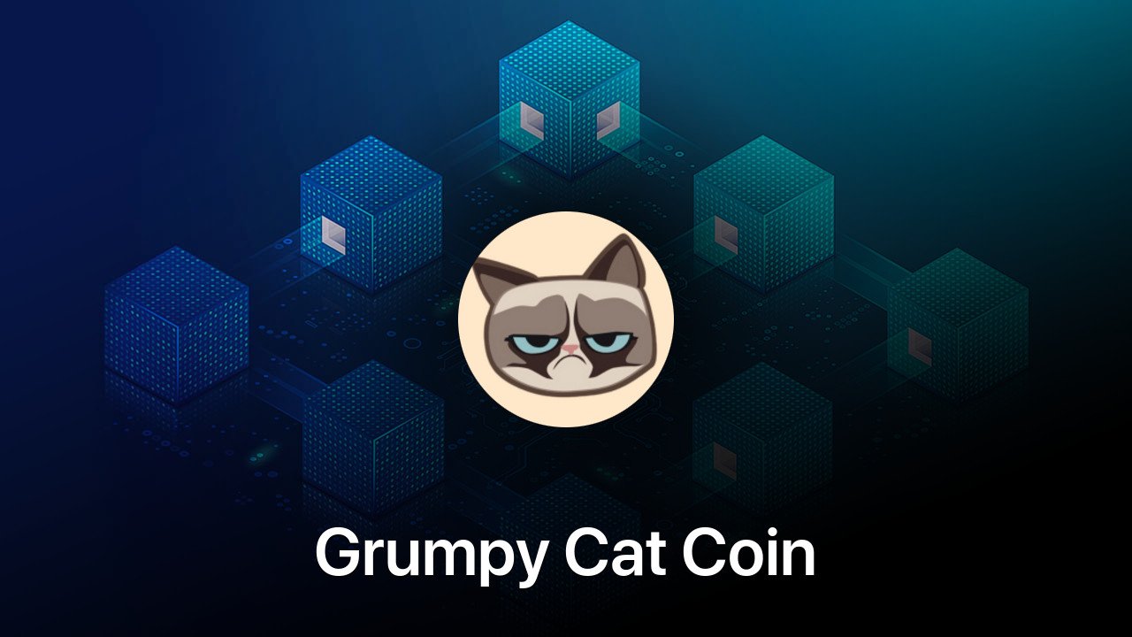 Where to buy Grumpy Cat Coin coin