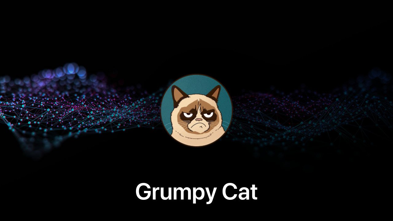 Where to buy Grumpy Cat coin