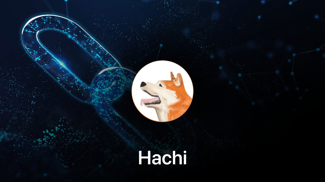 Where to buy Hachi coin