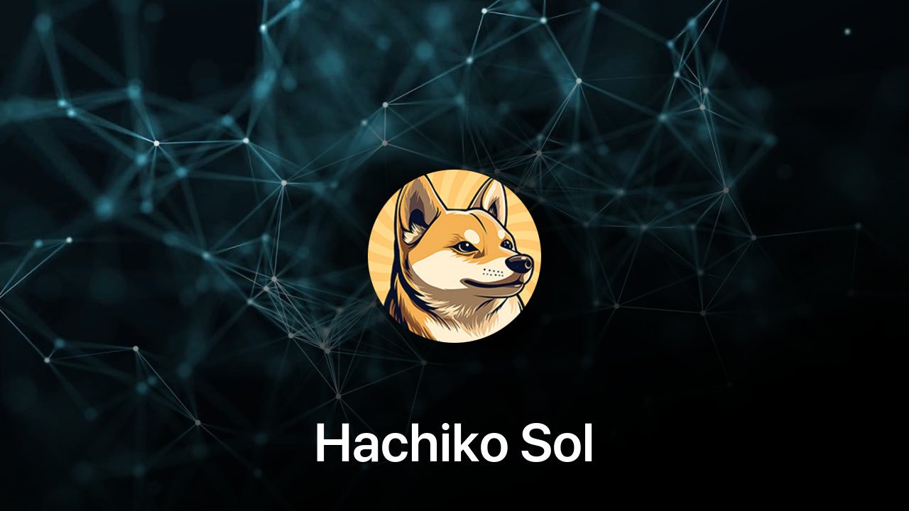 Where to buy Hachiko Sol coin