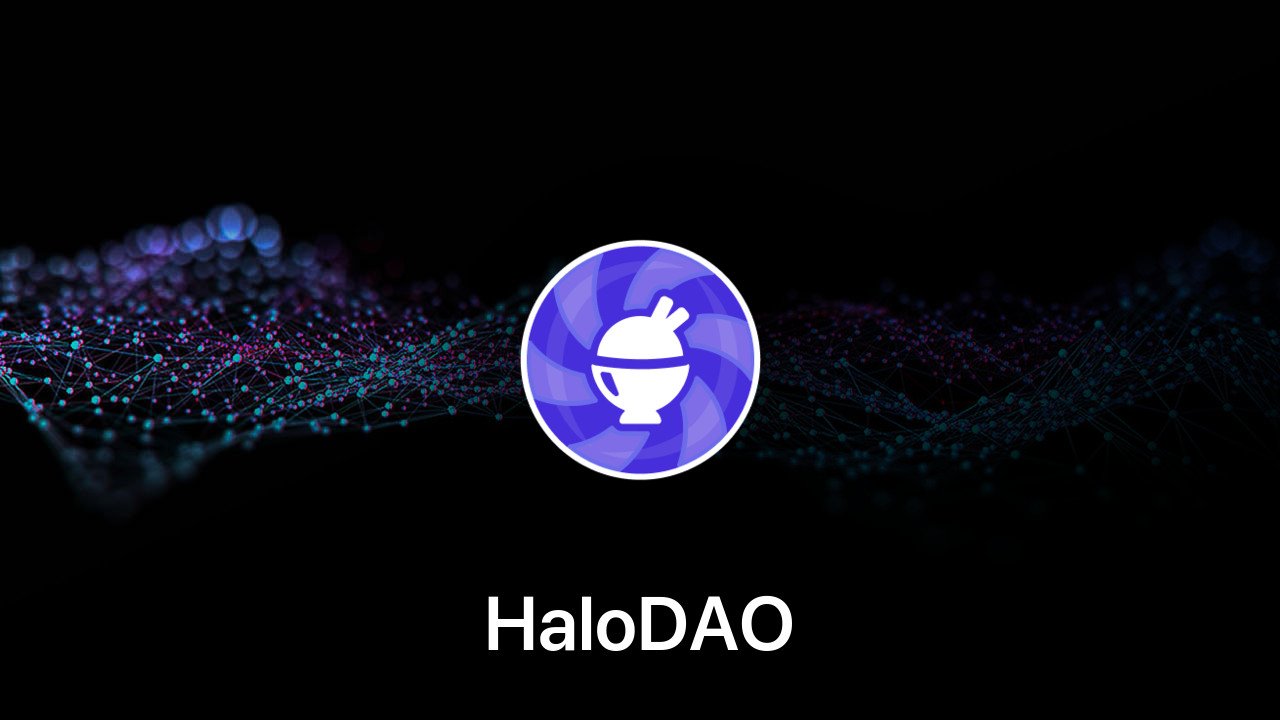 Where to buy HaloDAO coin