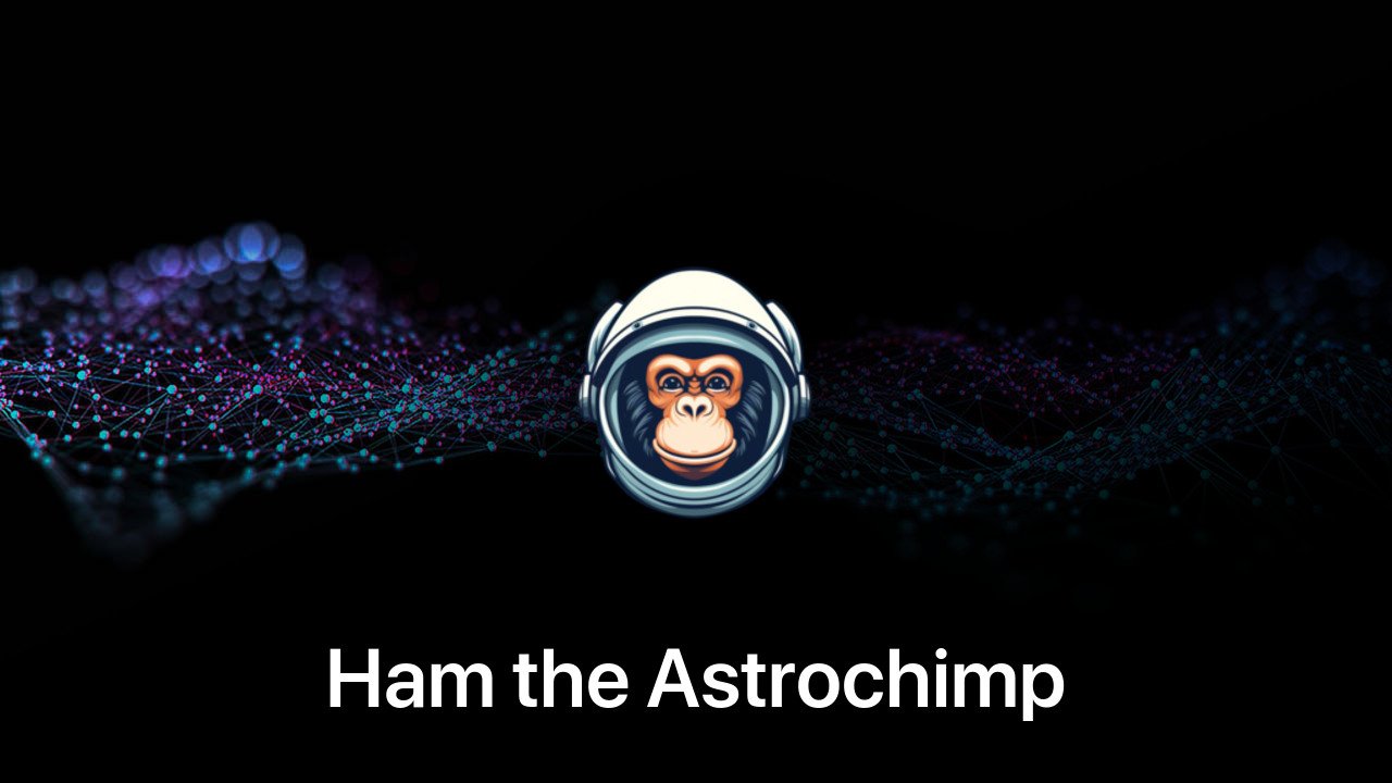 Where to buy Ham the Astrochimp coin