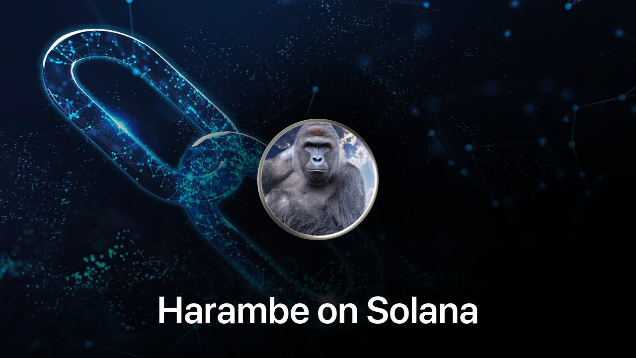 Where to buy Harambe on Solana coin