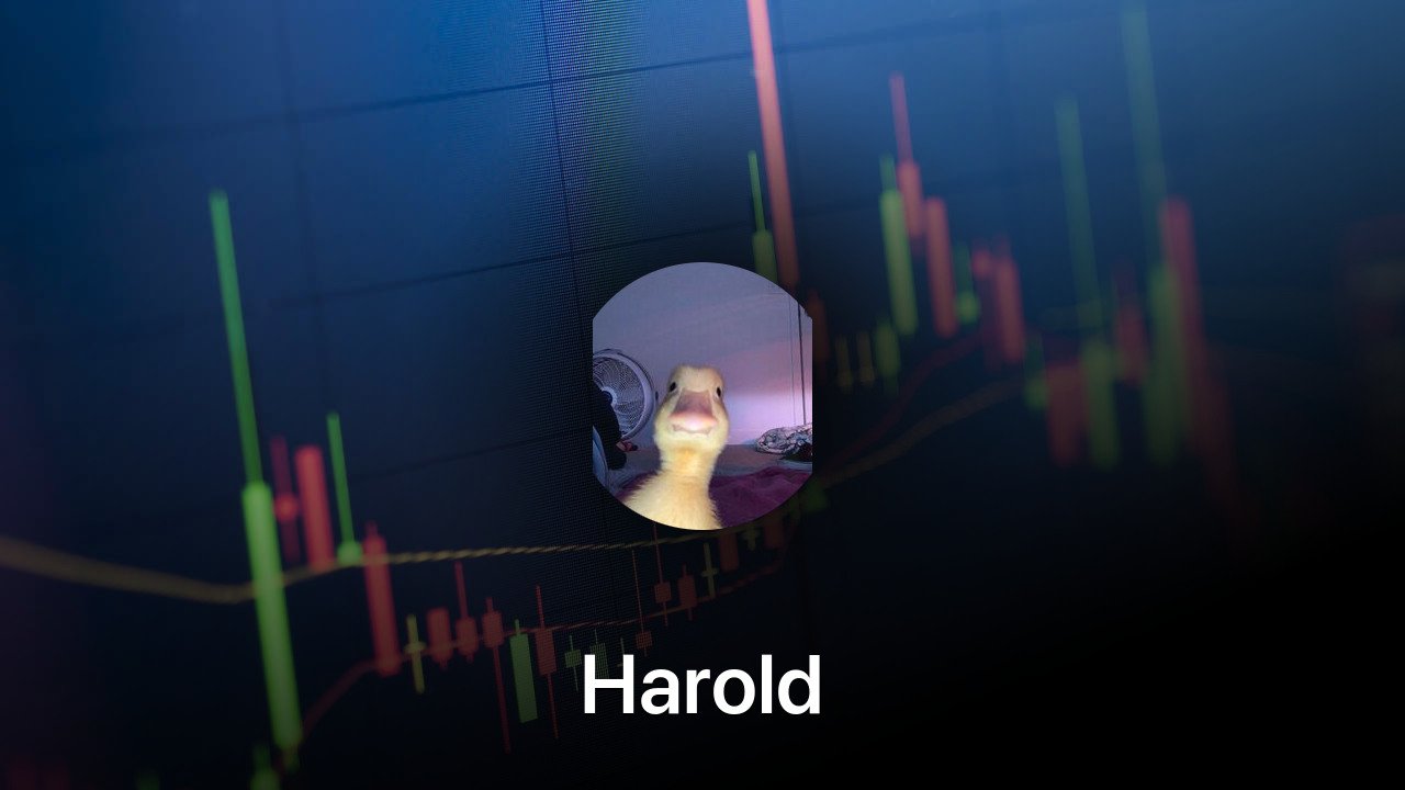 Where to buy Harold coin