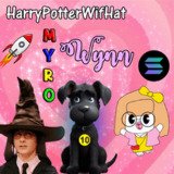 Where Buy HarryPotterWifHatMyroWynn