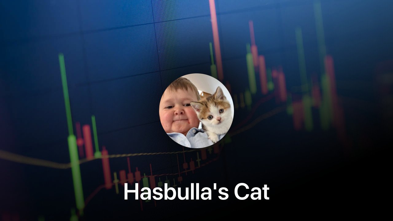 Where to buy Hasbulla's Cat coin