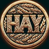 Where Buy HayCoin