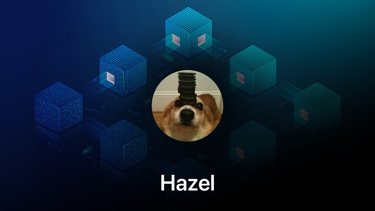 Where to buy Hazel coin