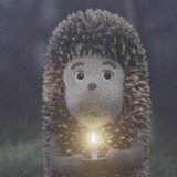 Where Buy Hedgehog in the fog