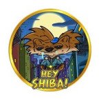 Where Buy Hey Shiba
