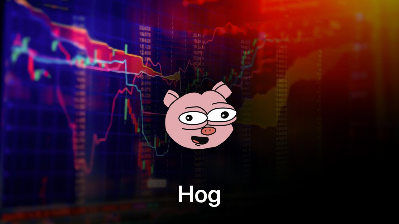 Where to buy Hog coin