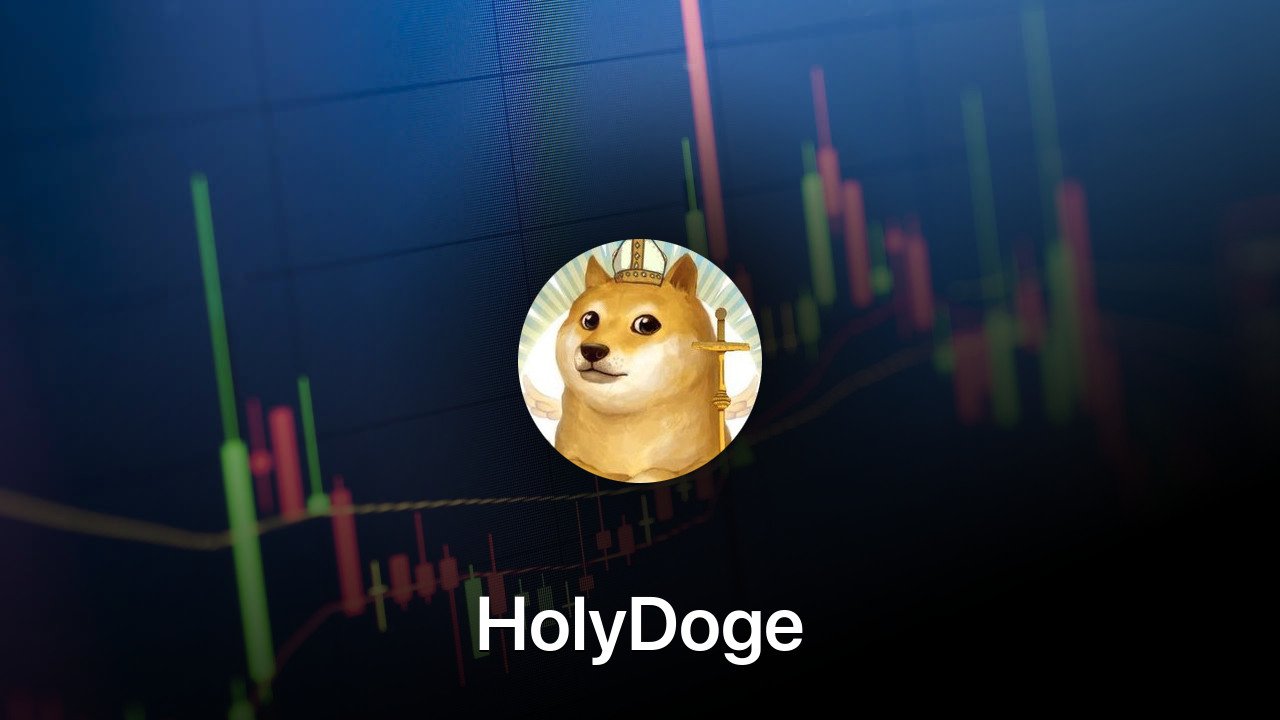 Where to buy HolyDoge coin