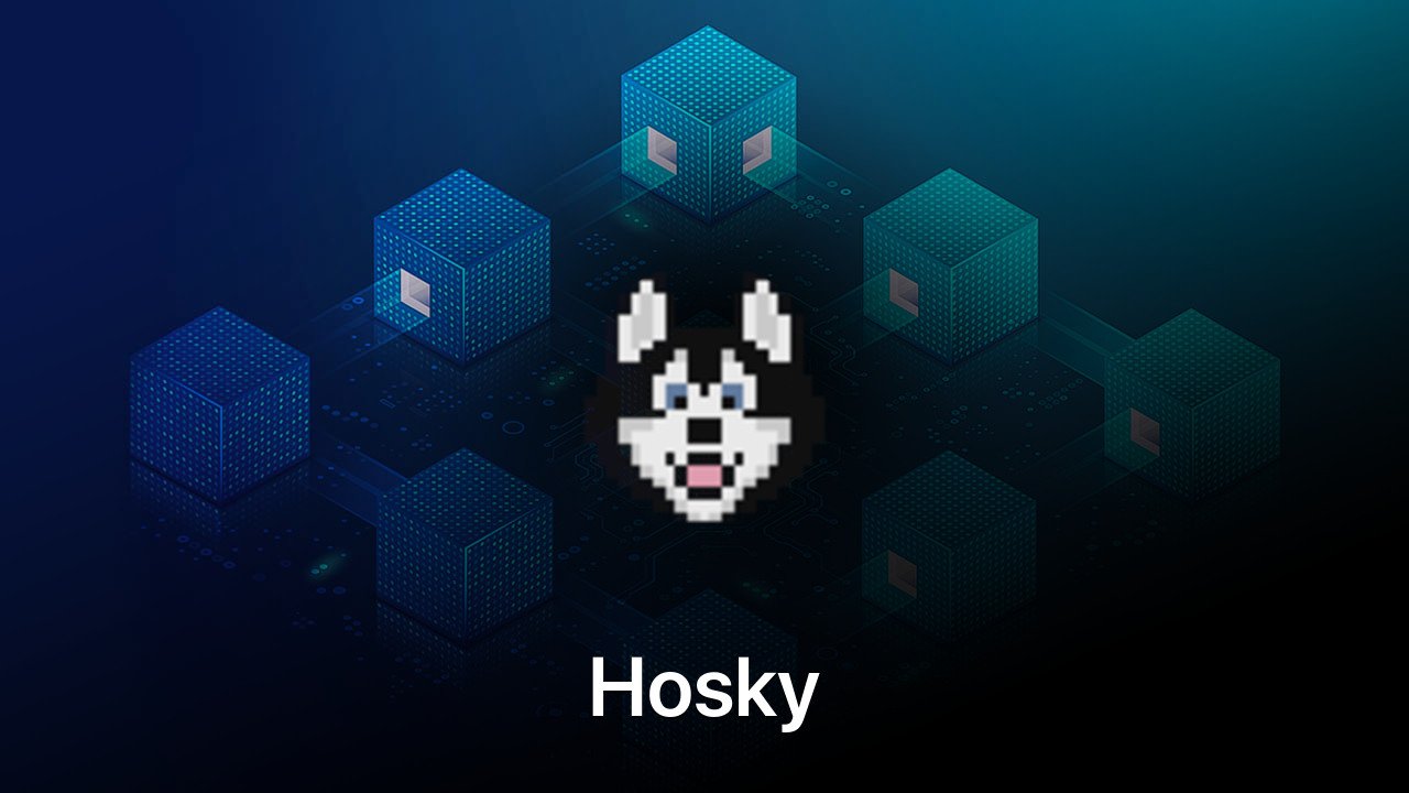 Where to buy Hosky coin