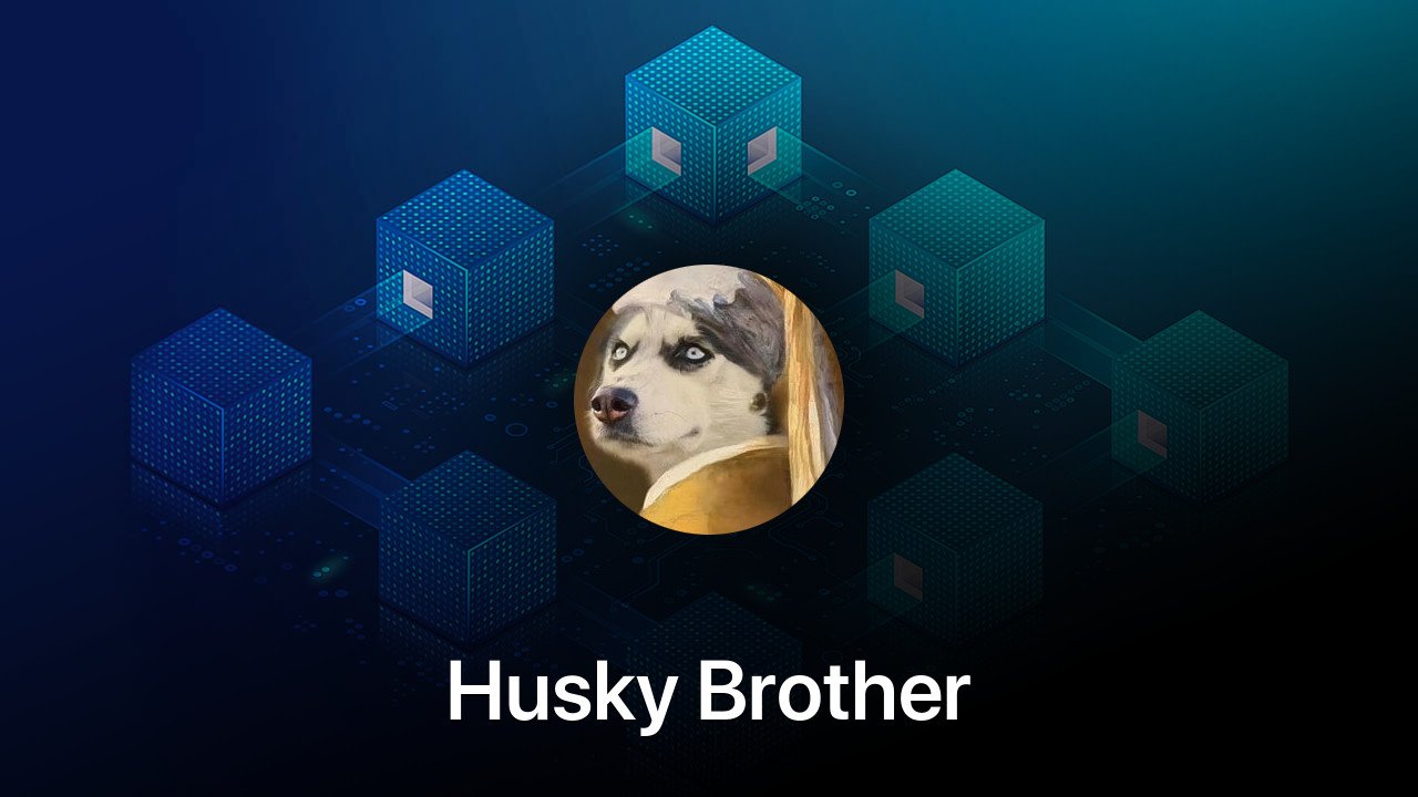 Where to buy Husky Brother coin