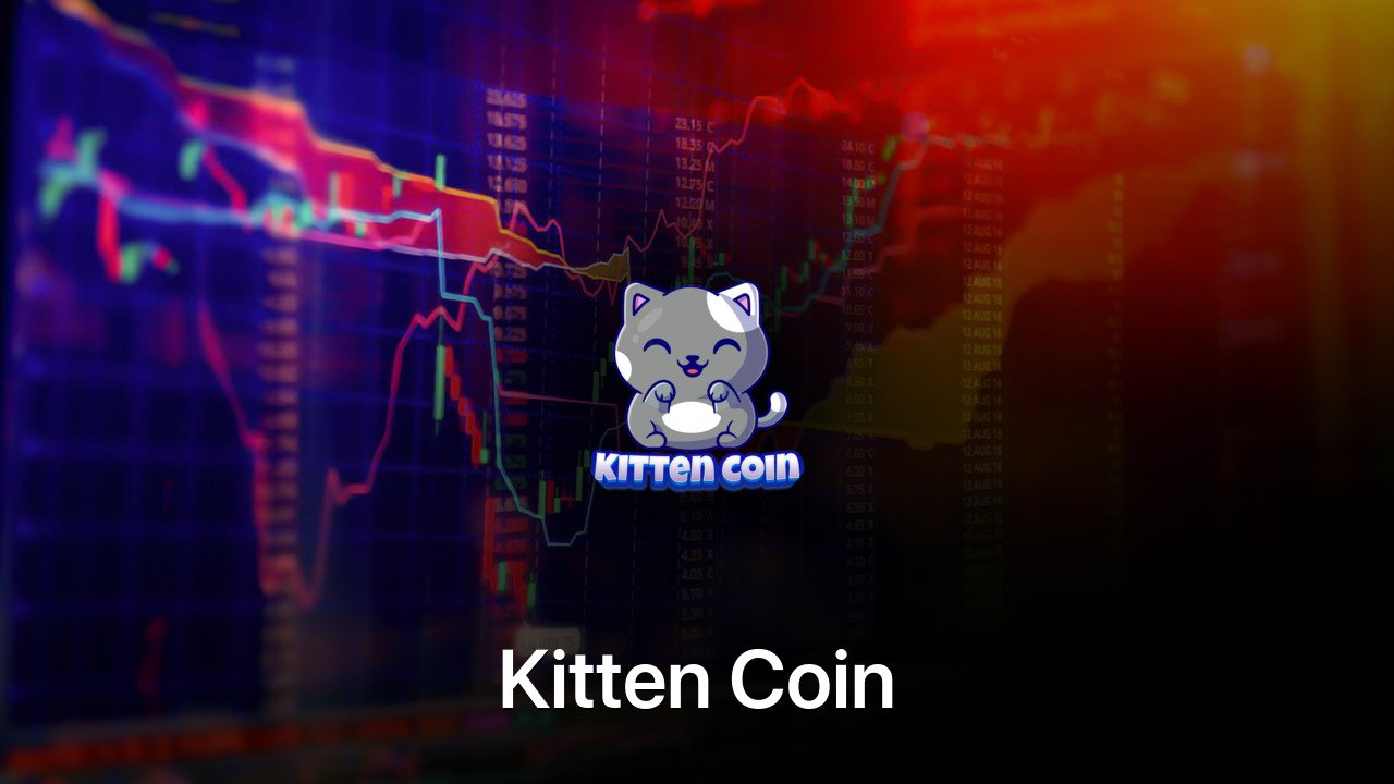 Where to buy Kitten Coin coin