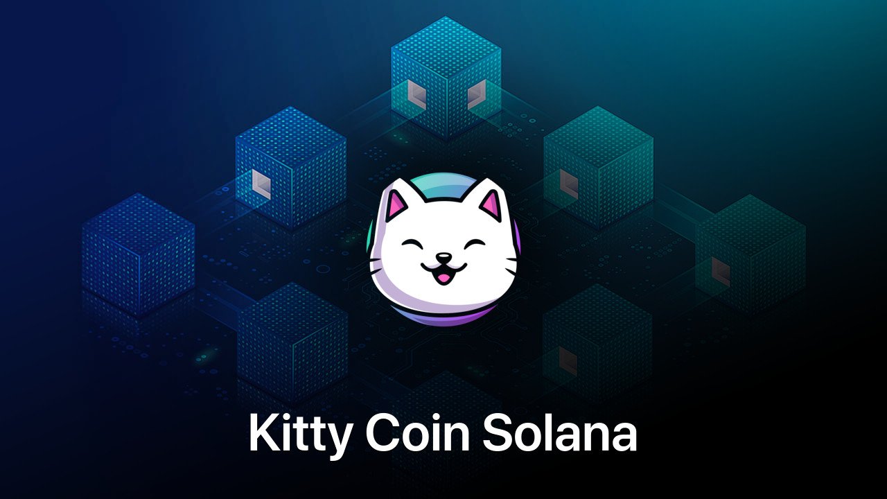 Where to buy Kitty Coin Solana coin