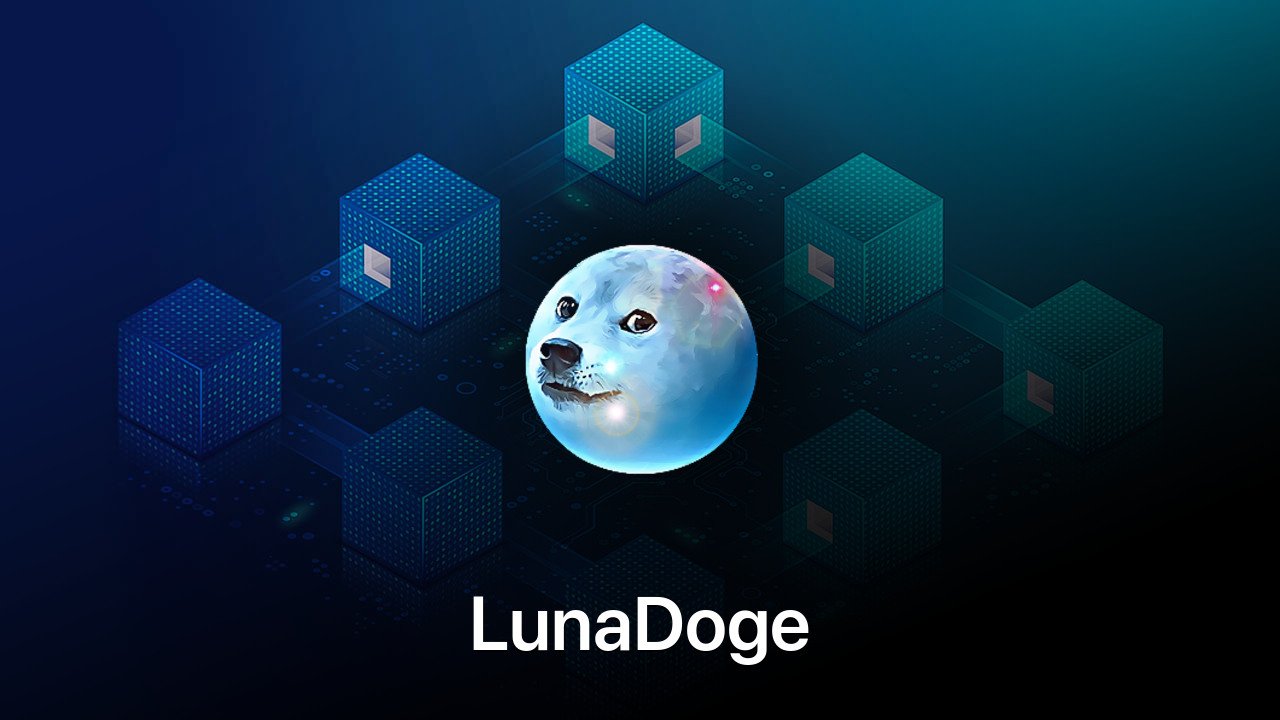 Where to buy LunaDoge coin