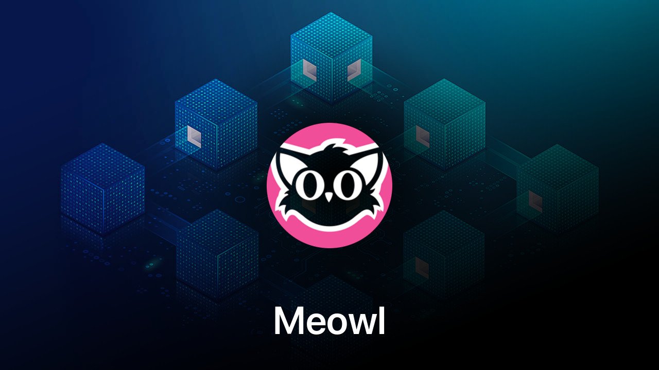 Where to buy Meowl coin