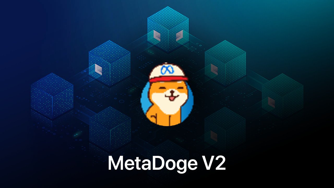 Where to buy MetaDoge V2 coin