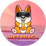 Where Buy MetaRaca