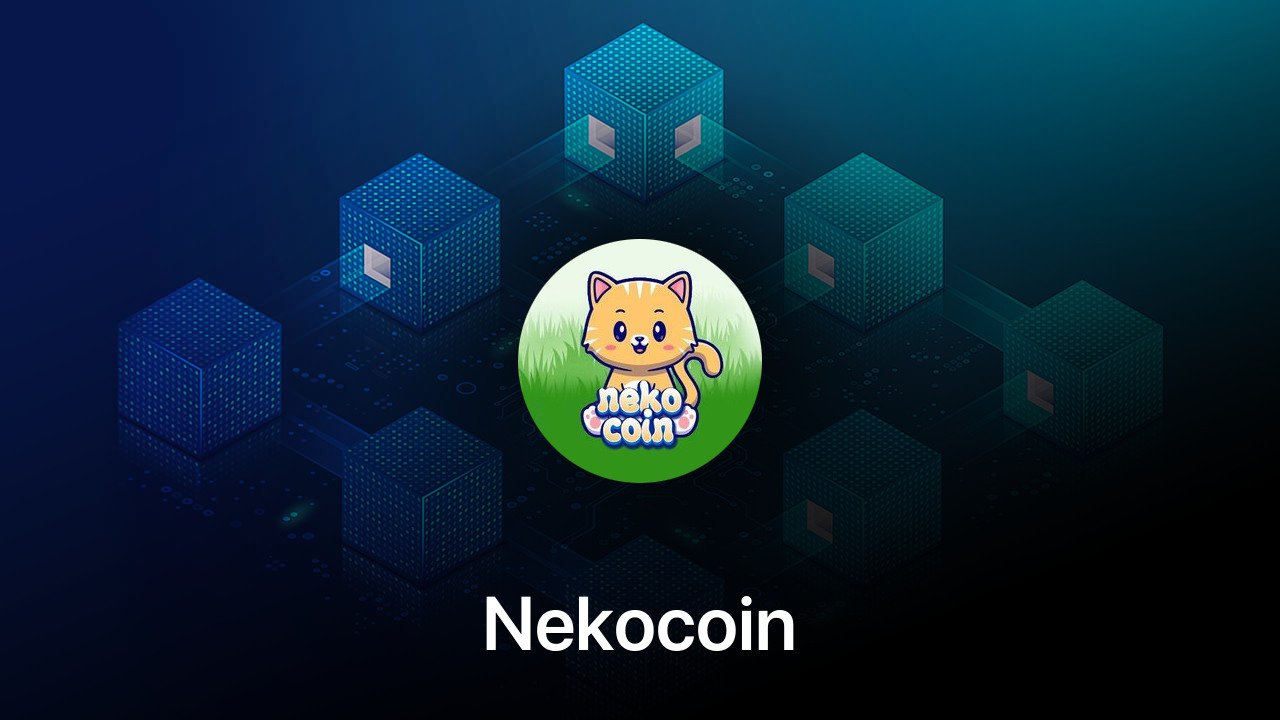 Where to buy Nekocoin coin