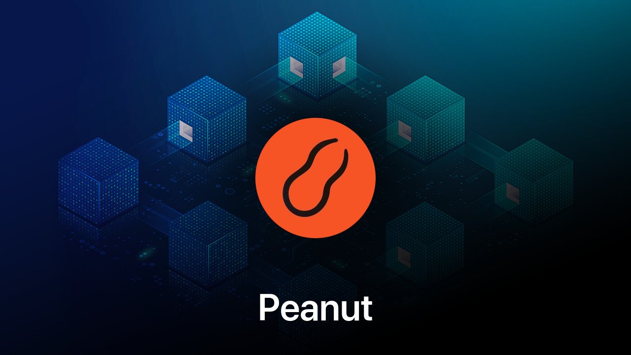 Where to buy Peanut coin