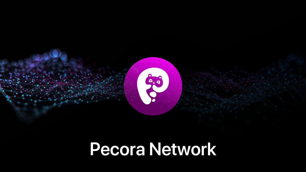 Where to buy Pecora Network coin