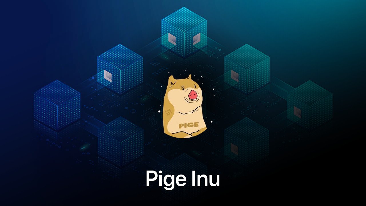 Where to buy Pige Inu coin