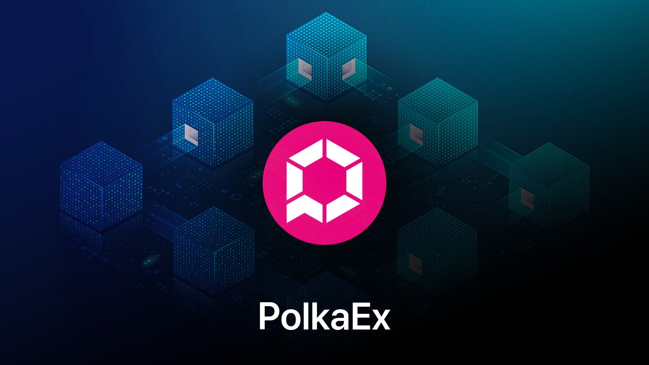 Where to buy PolkaEx coin