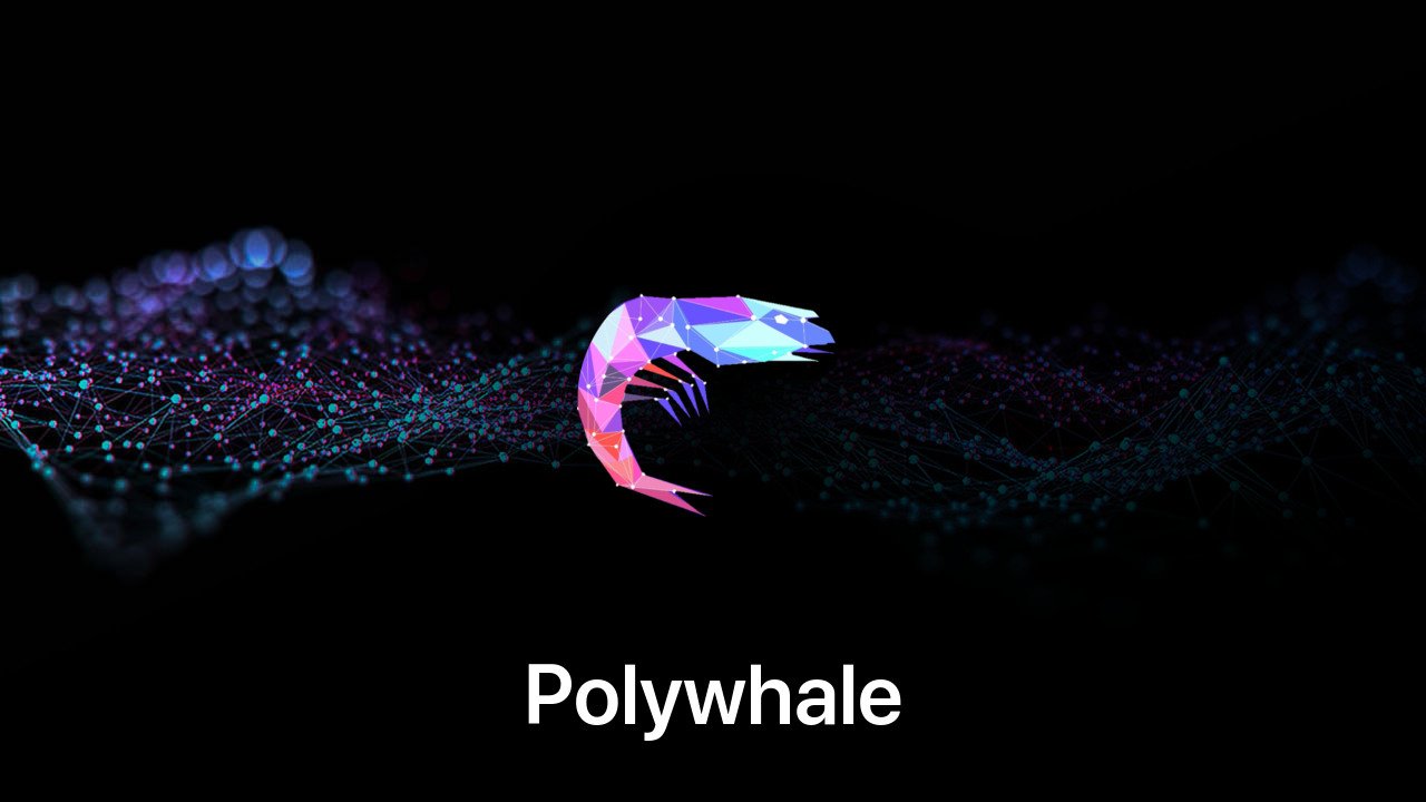 Where to buy Polywhale coin