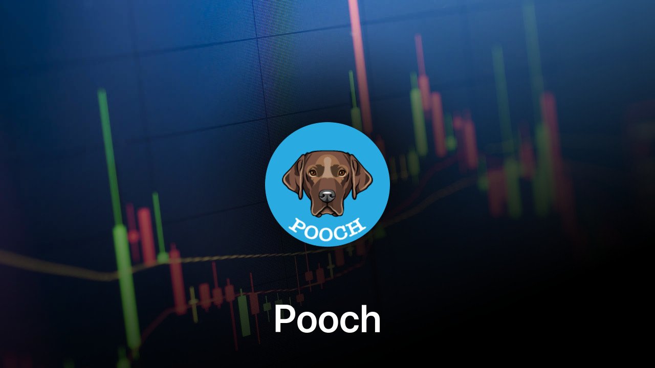 Where to buy Pooch coin