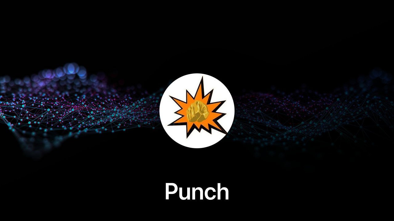 Where to buy Punch coin
