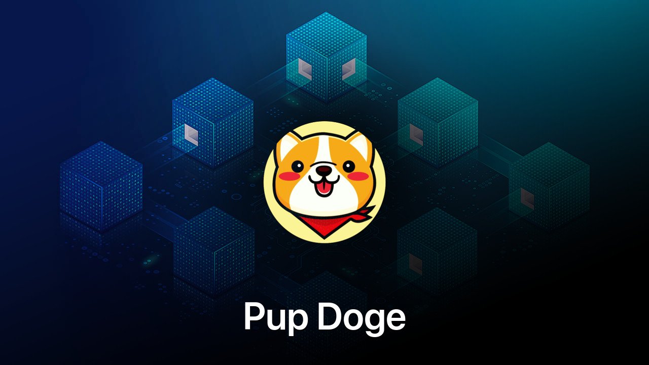 Where to buy Pup Doge coin