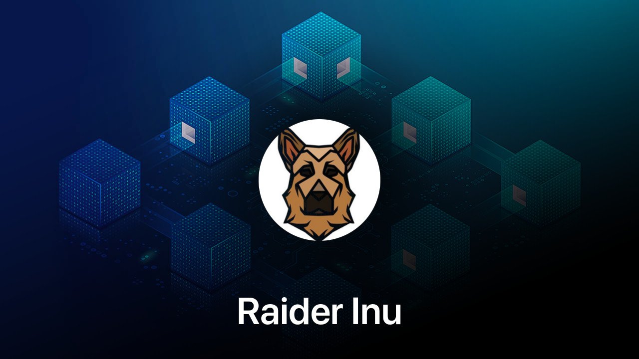 Where to buy Raider Inu coin