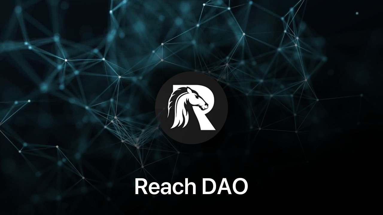 Where to buy Reach DAO coin
